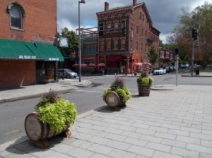 Bourbon barrel planters at Main and 5th St.