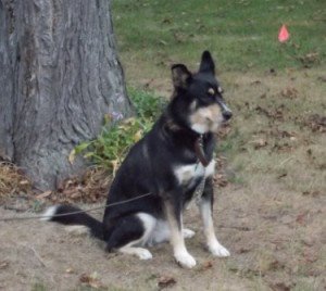 Back on squirrel watch Back on squirrel watch