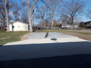Day 16