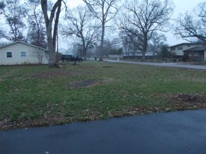 Empty yard with concrete forms