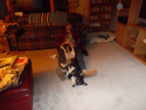 Rich applying Musher's Secret to Sascha's paws