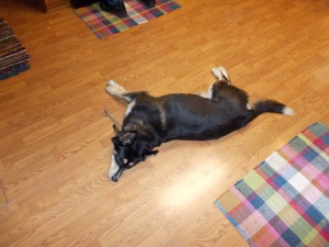 Speed bump in the kitchen