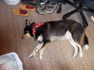 Tired after a bath