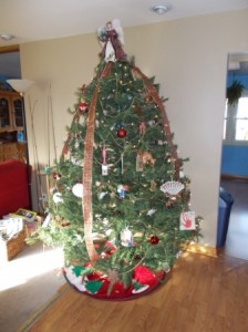 Tree is up