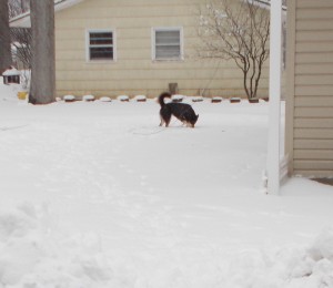 Sascha out enjoying the snow.