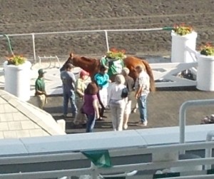 One of the winners we had in the race.  Turquoise is a lucky color for us.
