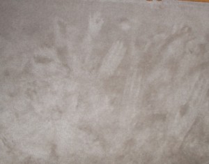 Claw marks in the carpet. Good think she likes us.