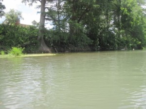 The San Marcos River that we were toobing along.
