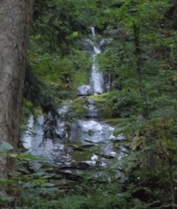 Close up of Fern Falls.