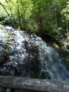 June Whankey Falls over by Bryson City.