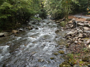 Nice shot of the Little Pigeon River along the road.