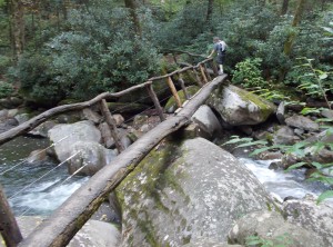 This is the longest log bridge in the Smoky Mt Park.  Scary!