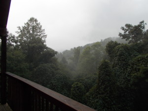 My last morning shot of Mt Leconte from the porch.