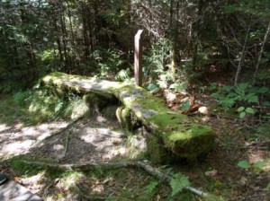I found Rip Van Winkle's bench on one of the nature trails.