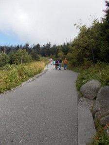 Just starting up the ramp to Clingman's Dome.