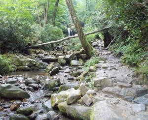 Trail beside Roaring Fork Creek to Grotto Falls in the back.