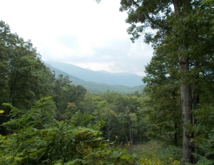 View from a lookout on the Motor Nature Trail.