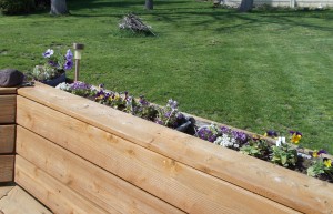One of the deck boxes with the flowers planted.