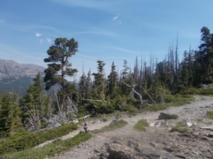 6 rough and rugged trail