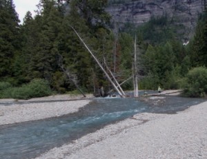 Avalanche Creek joining McDonald River.