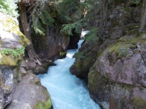 Avalanche Gorge at the end of Trail of Cedars.