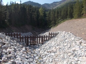 Avalanche area in one of the creeks