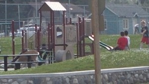 Deer in the playground confounding the kids.