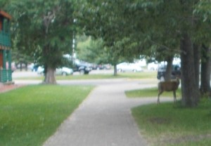 Deer on our walk through town.