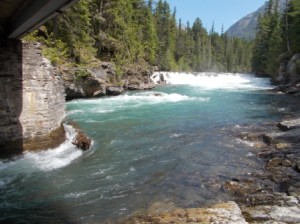McDonald Falls was our destination today.