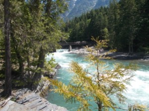 McDonald River from the trail.