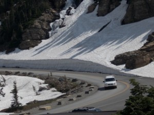 One of the avalanche fields.