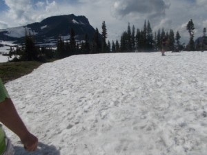 Snow field at Logan's Pass.