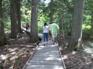 Everyone starting up the Trail of Cedars path.