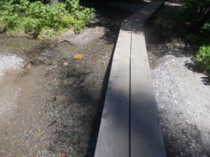 Boardwalk for trail over the smaller streams.
