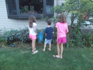 Beating the bushes for bugs in the front yard.