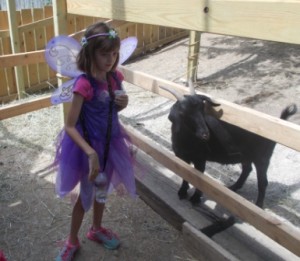 Bel having a standoff with a goat.