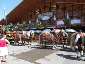 Draft horses bringing in the beer for the fest hall for the day.