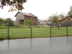 Farm right in the middle of town, which was next to the Passion Plan theater.