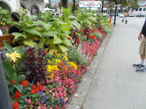 Garden in the middle of Garmisch 