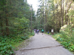 Starting up the trail in the Tatra National Park.