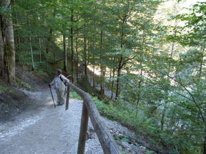 Getting ready to walk up the mountain to the meadows.