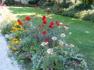 Flowerbed in the park on the way to downtown Garmisch.